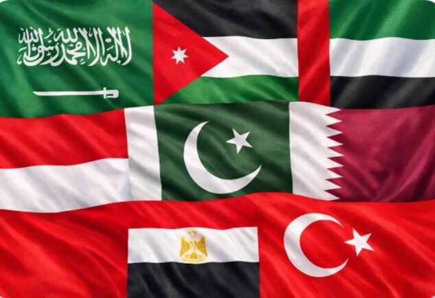 Arab, Islamic nations condemn continued Israeli aggression in Gaza