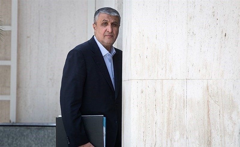 Iran Decries Austria’s Blocking of Nuclear Chief from IAEA Conference