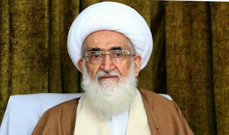 آیة الله نوری همدانی یحذر حکام المنطقة من مغبة سجن العلماء وإعدامهم